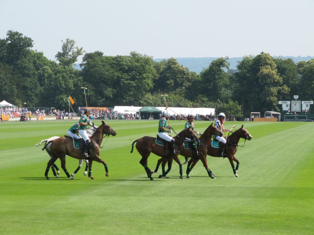 polo players in action