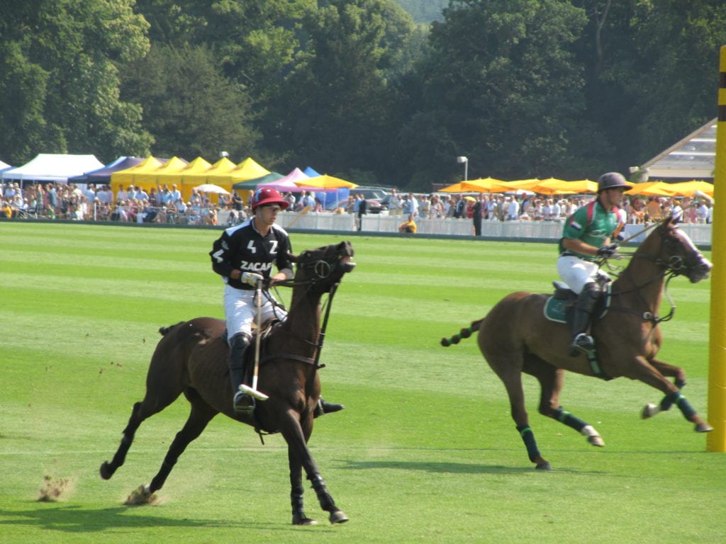 polo players in petworth