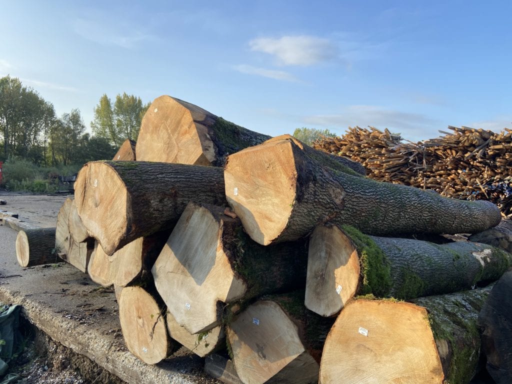 ash logs