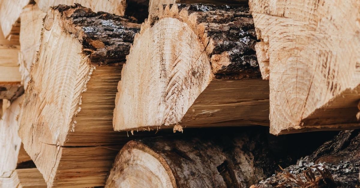 How the Russia-Ukraine War Impacts the Timber Trade