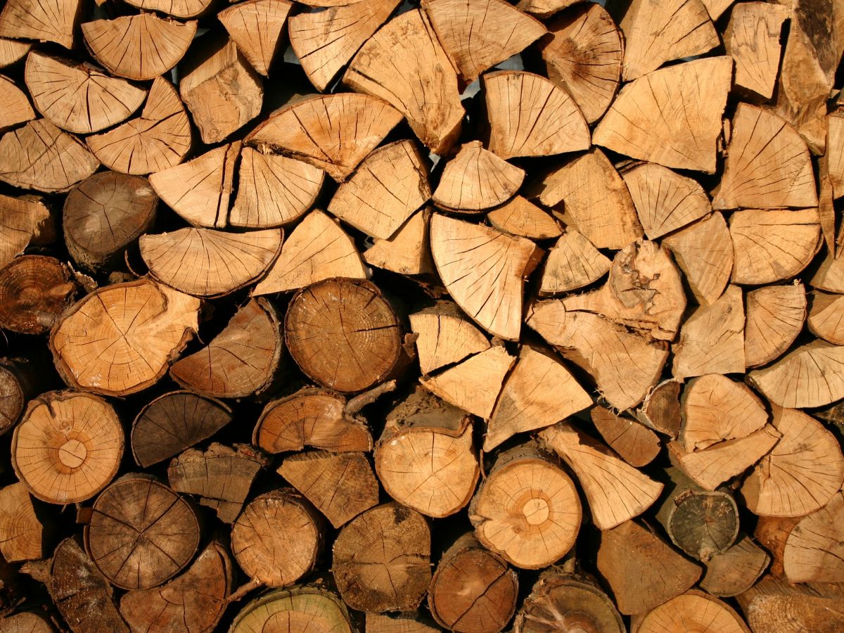 Sustainable timber directly impacts the quality of wood