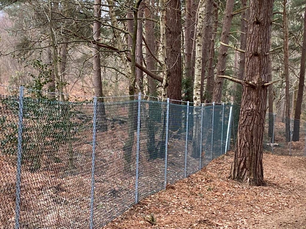 Steel Wire Fencing at Ash Ranges - PRO Fencing Surrey